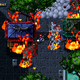 Illustration for article titled Shakedown: Hawaii Offers A Breezy 16-Bit Farewell To The Vita